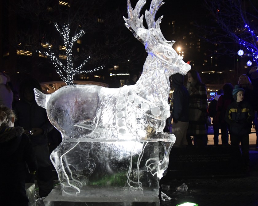 2017-12-01 Tree lighting GR 1614