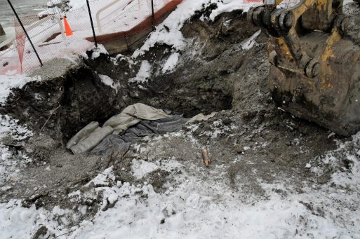 38669791245_e208fe424a_k